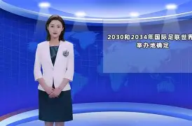 国际比赛日足总杯焦点战；葡萄牙体育防线松动；引发热议；阵容厚度经受考验的简单介绍
