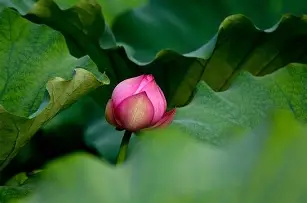 D?6`?﹠鼀C奃c?蛌嵥h姐?杷h労禜躴S丰.?嚾)磷